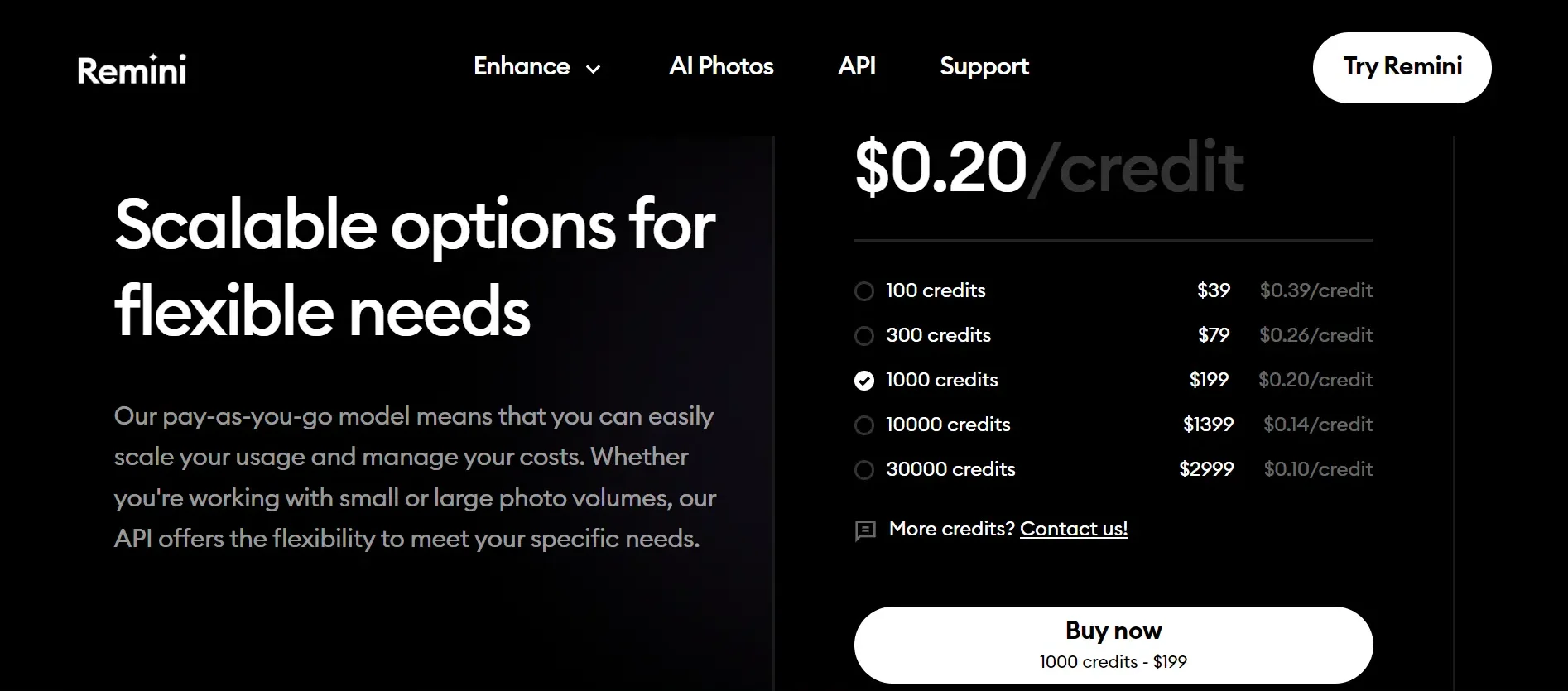 Remini API pricing screenshot fiving an insight into how much is remini app